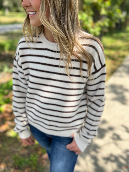 Ivory and Chocolate Sweater