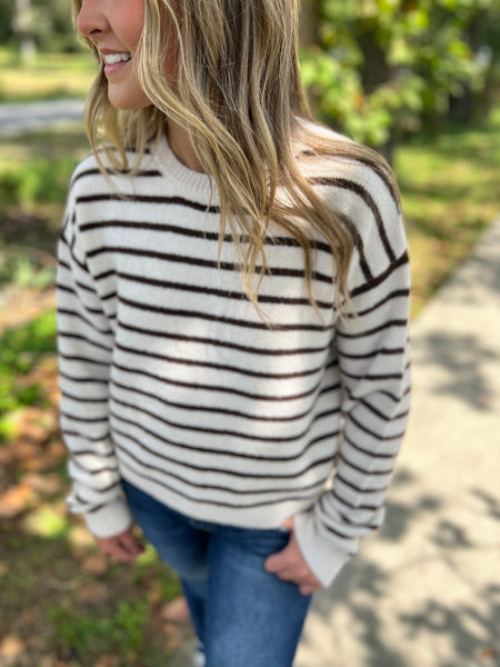 Ivory and Chocolate Sweater